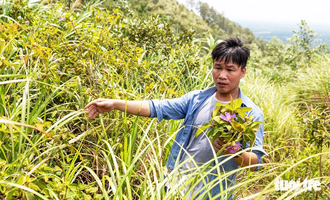 liệt sĩ - Ảnh 7.