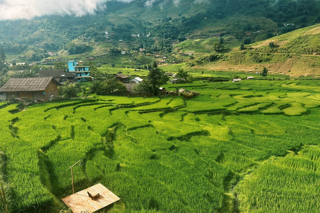 mùa lúa - Ảnh 1.
