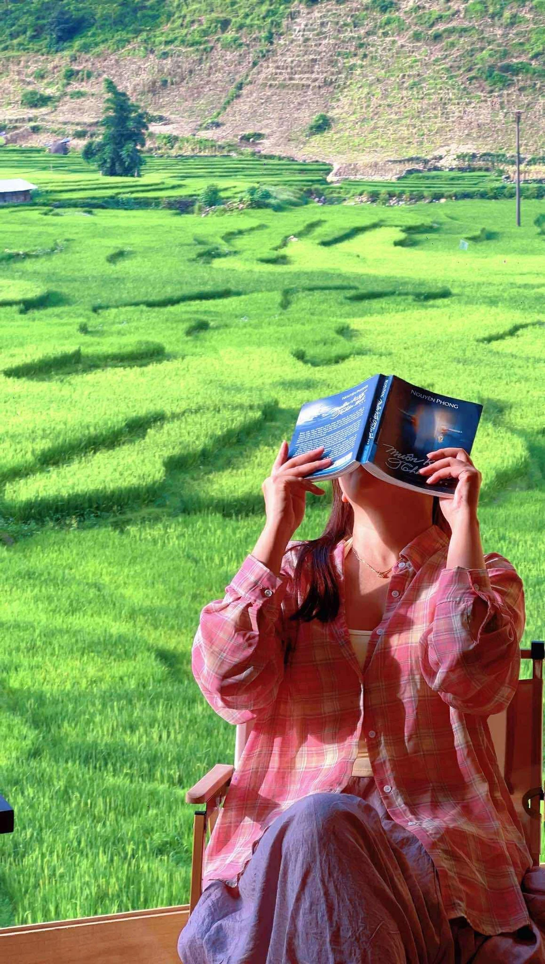 Khung cảnh 'tuyệt đối điện ảnh' mùa lúa xanh ở Sa Pa - Ảnh 2.