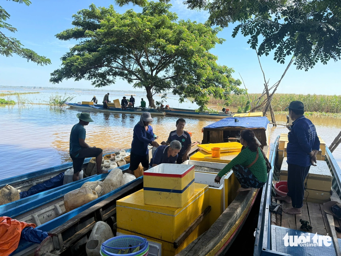 nước nổi miền Tây - Ảnh 3.