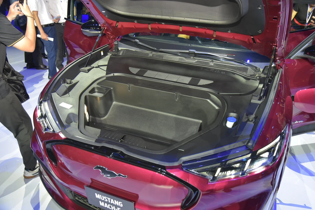 Ford Mustang - Ảnh 12.