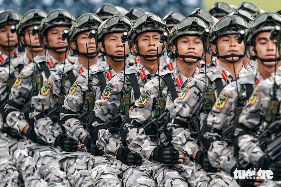 Việt Nam có đầy đủ các lực lượng, quân binh chủng để bảo vệ vững chắc Tổ quốc - Ảnh 10.