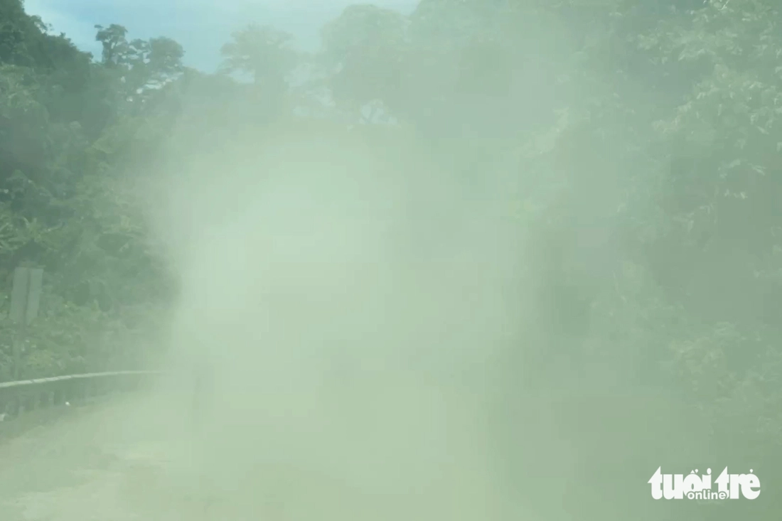 bụi - Ảnh 3.