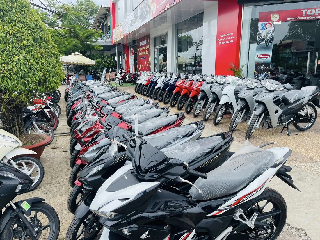 xe điện - Ảnh 9.