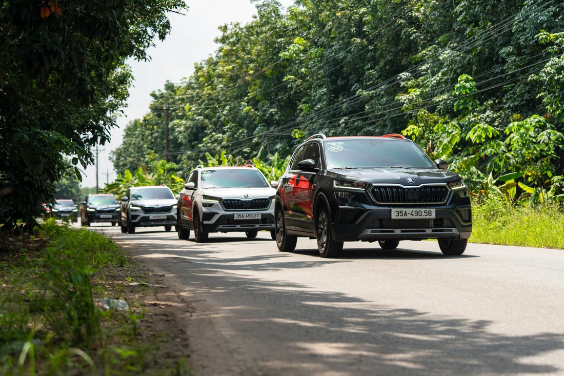 Skoda - Ảnh 19.