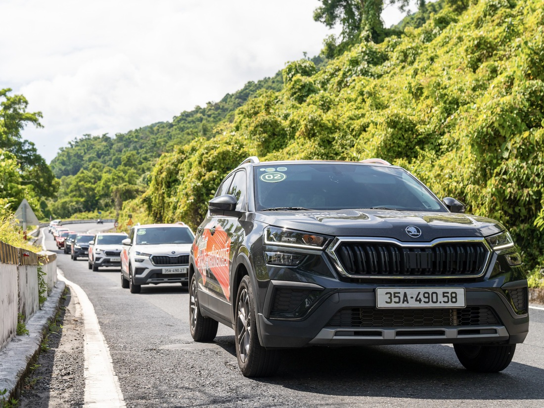 Skoda - Ảnh 20.