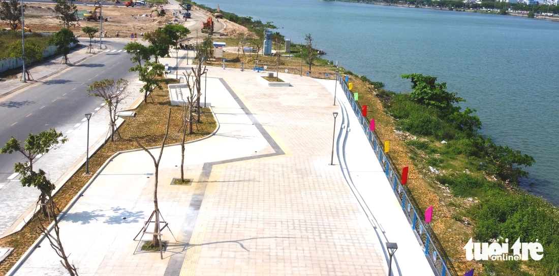 cây xanh - Ảnh 2.