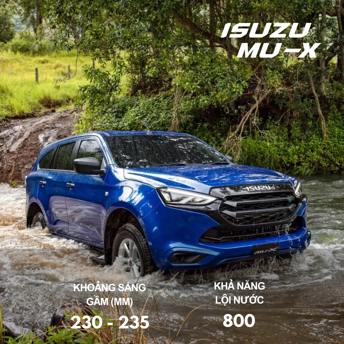 xe lội nước - Ảnh 7.