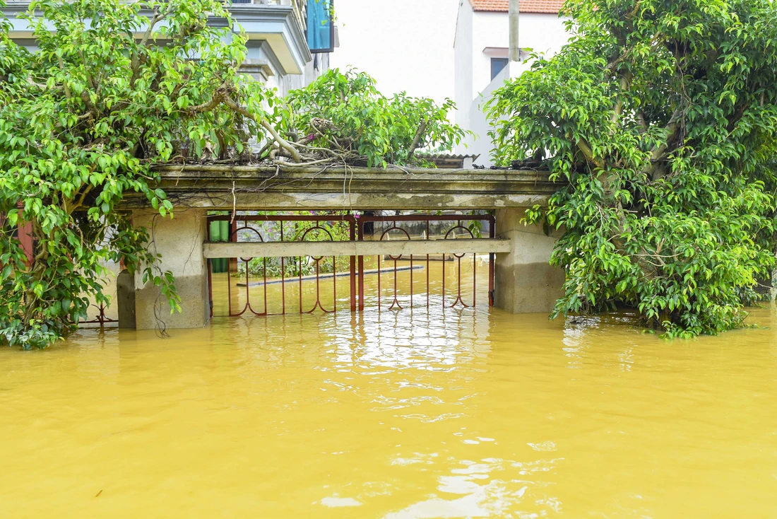 bão số 5 - Ảnh 7.