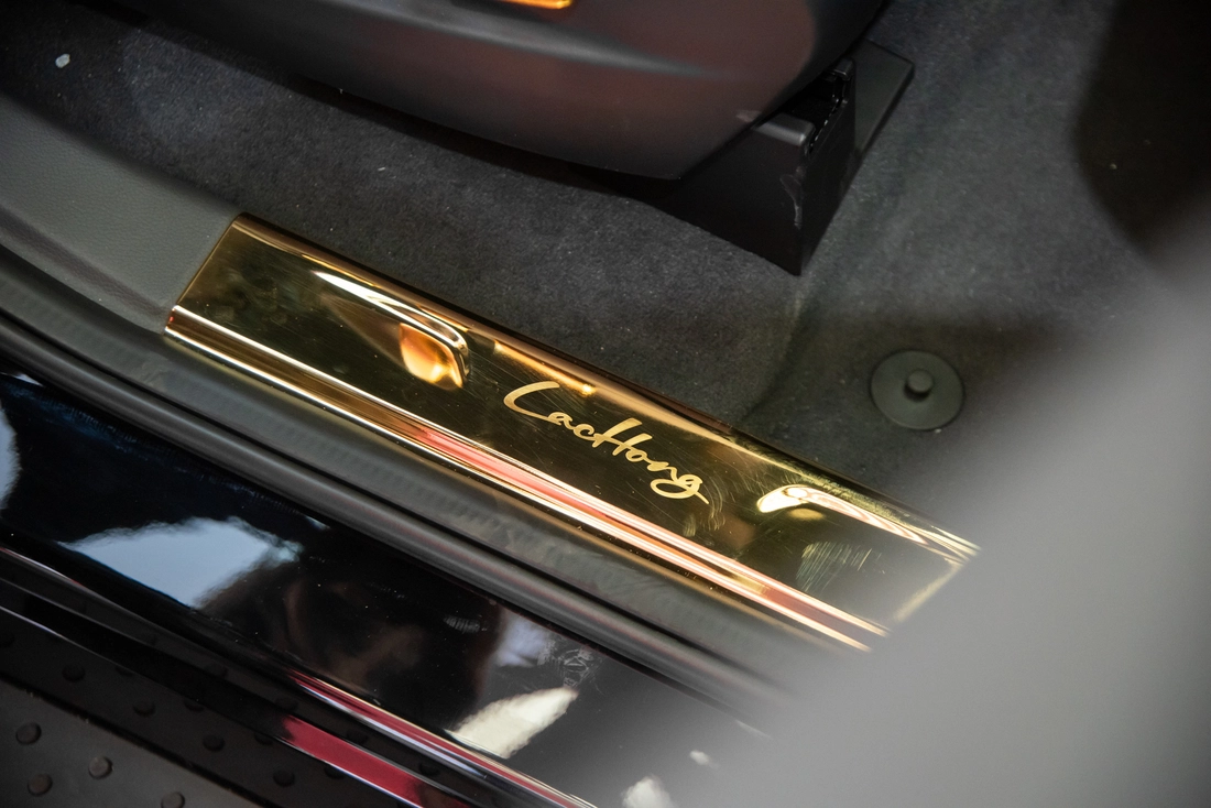 Cận cảnh Lạc Hồng 900 LX đời thực: Nhiều chi tiết mạ vàng, rộng hơn Cadillac Escalade, đi 550km/sạc - Ảnh 17.