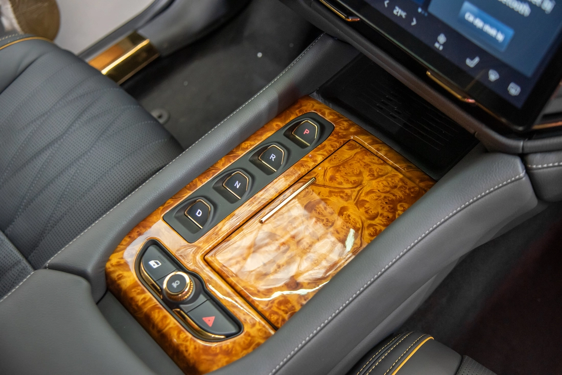 Cận cảnh Lạc Hồng 900 LX đời thực: Nhiều chi tiết mạ vàng, rộng hơn Cadillac Escalade, đi 550km/sạc - Ảnh 11.
