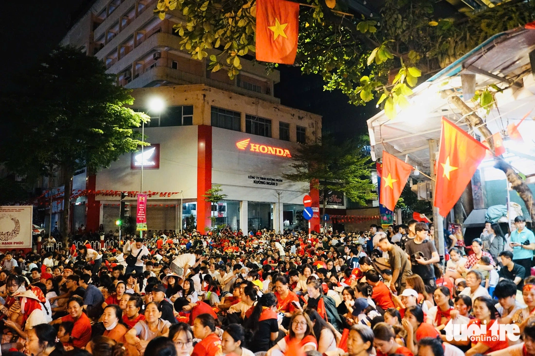 diễu binh, diễu hành - Ảnh 21.