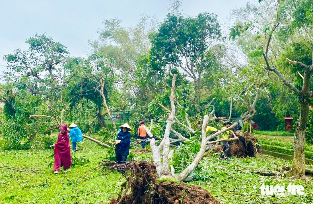 Dọn cây đổ sau bão ở Khu di tích Kim Liên đón người dân dịp Quốc khánh - Ảnh 4.
