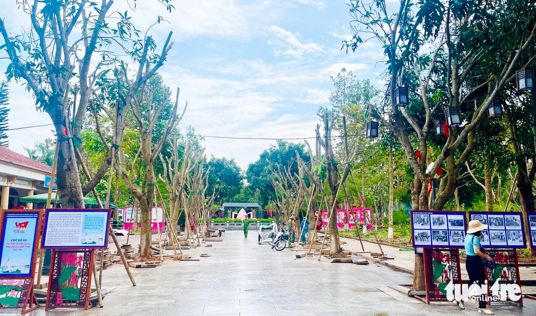 kim liên - Ảnh 10.