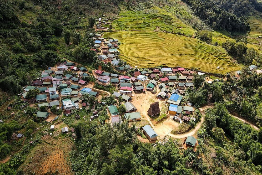 Ngỡ ngàng mùa vàng ở Ngọc Linh, bức tranh tuyệt sắc giữa đại ngàn Quảng Ngãi - Ảnh 12.