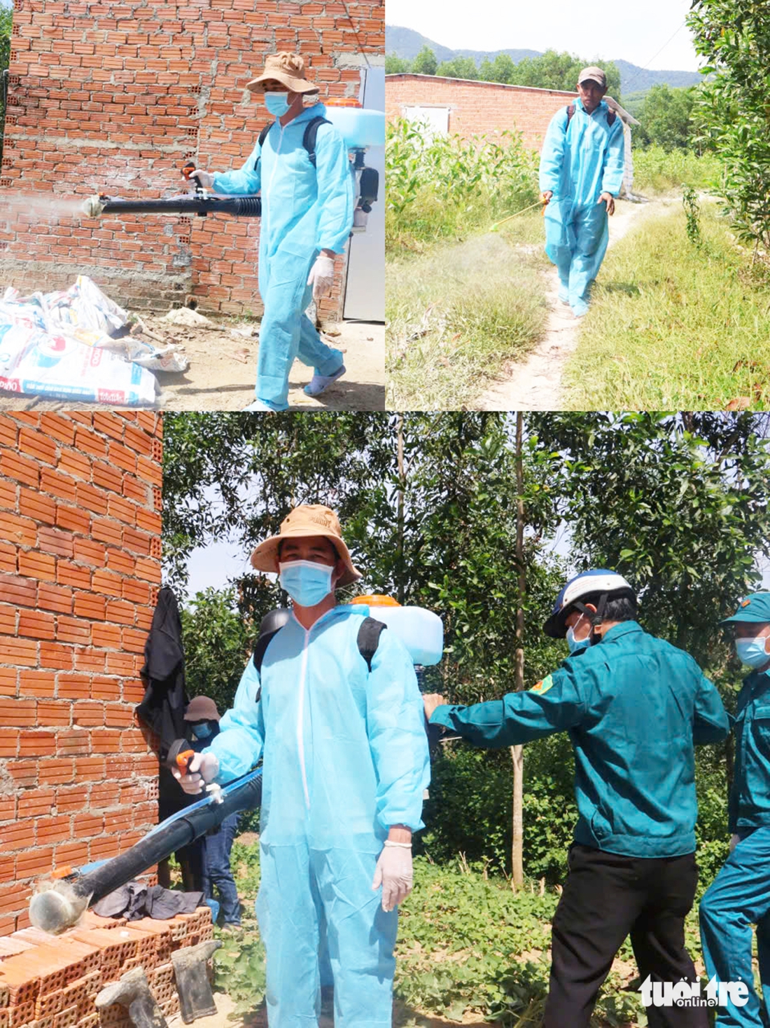 dịch tả châu Phi - Ảnh 6.