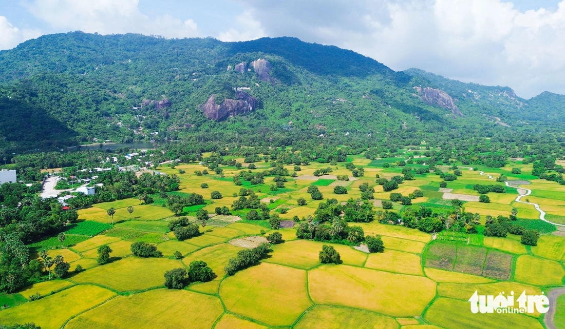tuyệt tình cốc - Ảnh 3.