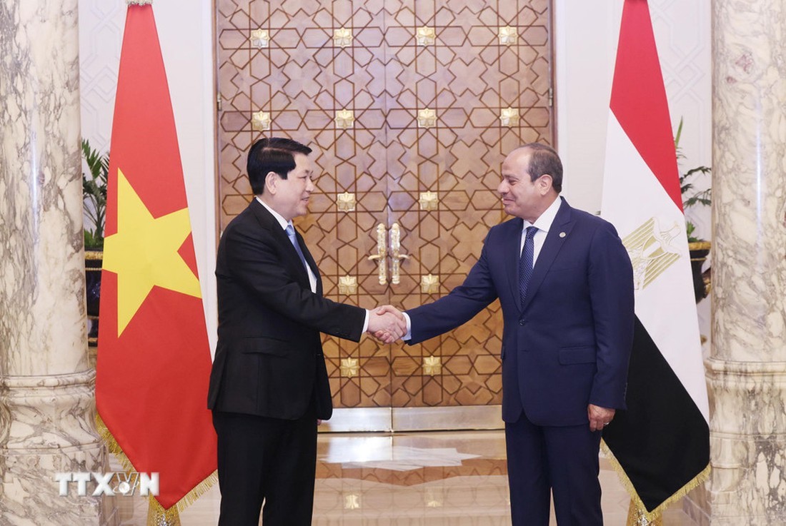 Chủ tịch nước Lương Cường - Ảnh 1.