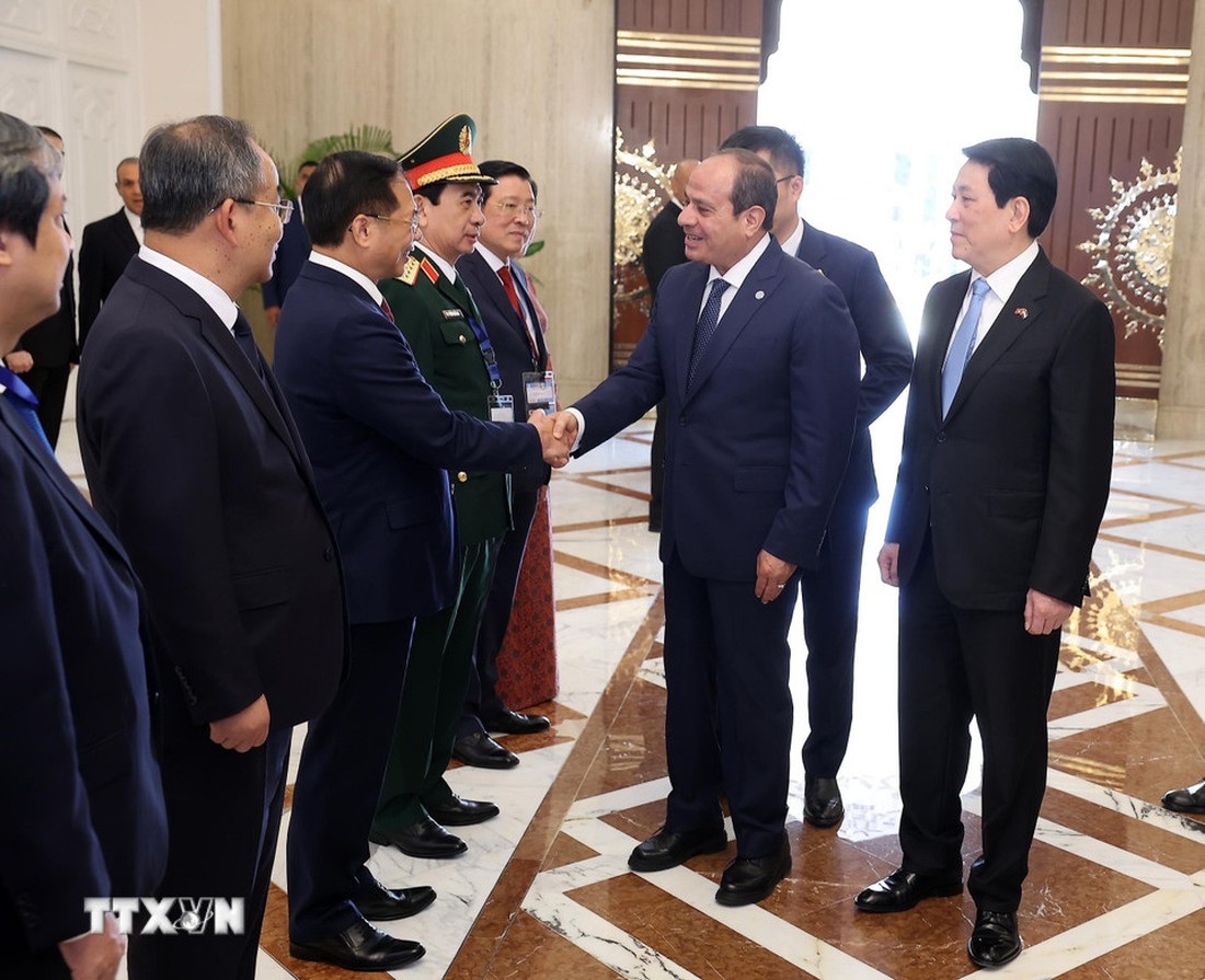 Chủ tịch nước Lương Cường - Ảnh 3.