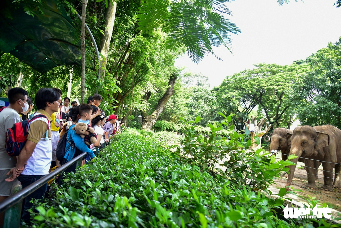 Thảo Cầm Viên - Ảnh 4.