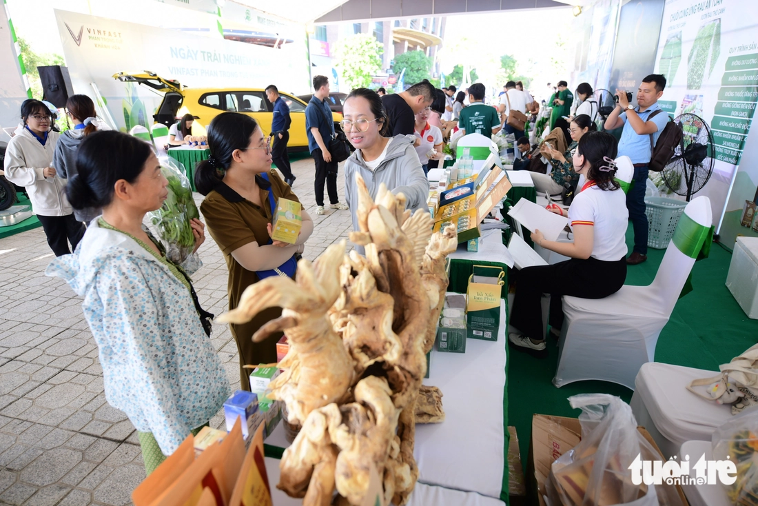 Du khách thích thú đổi rác lấy quà, tự lái xe điện tại Ngày Trải nghiệm xanh Khánh Hòa - Ảnh 4. Hơn 1.200 khách tới khám phá Ngày trải nghiệm xanh Khánh Hòa, đi xe điện, đổi rác lấy quà - Ảnh 4.