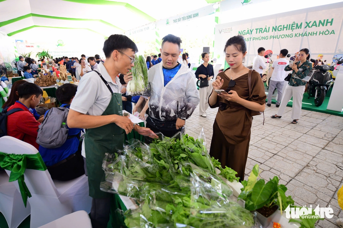 Du khách thích thú đổi rác lấy quà, tự lái xe điện tại Ngày Trải nghiệm xanh Khánh Hòa - Ảnh 7. Ngày trải nghiệm xanh - Ảnh 7.
