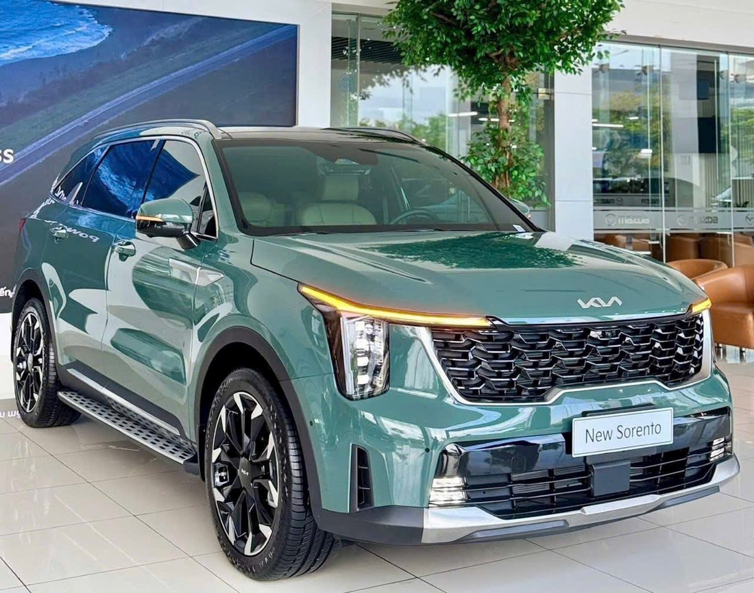 Kia Sorento - Ảnh 13.