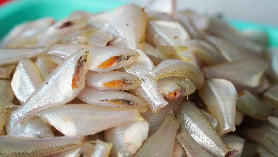 đặc sản - Ảnh 6.