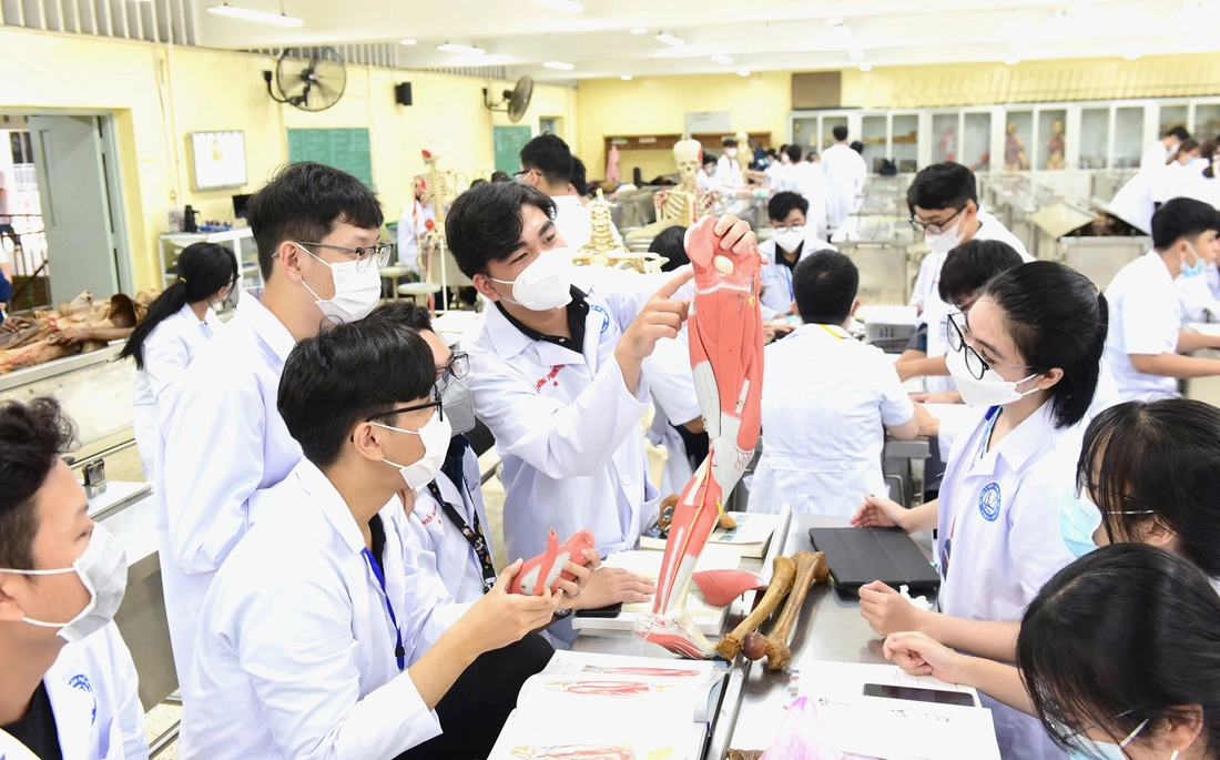 Sáp nhập đại học: Không còn trường nhỏ, manh mún - Ảnh 2.
