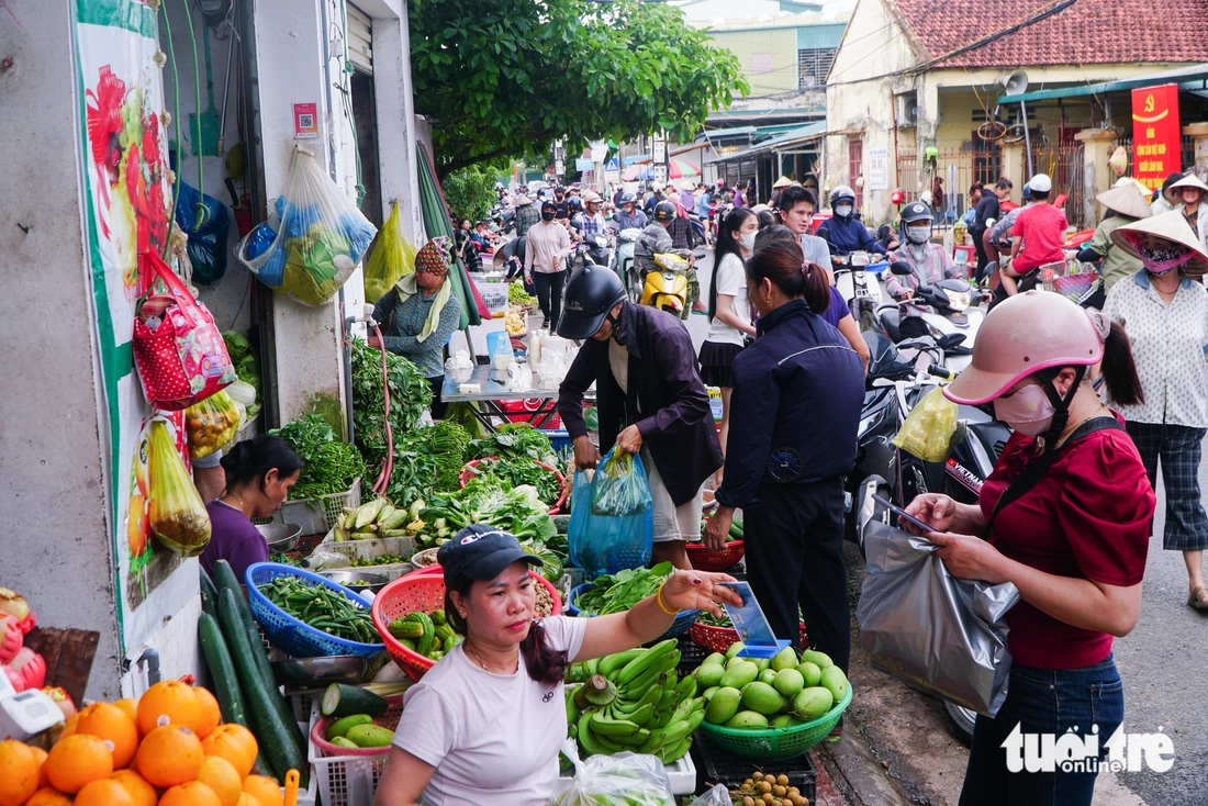 Đặc khu Vân Đồn tất bật trước bão Ragasa, lực lượng cứu hộ đã sẵn sàng - Ảnh 2.