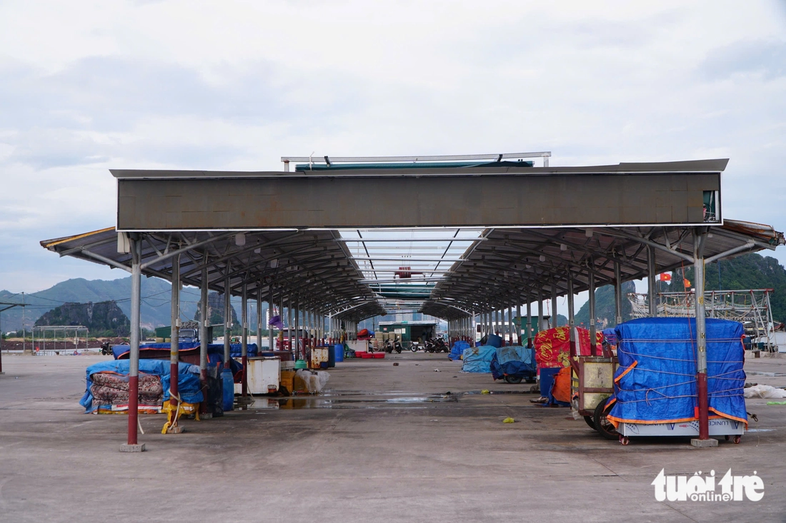 Đặc khu Vân Đồn tất bật trước bão Ragasa, lực lượng cứu hộ đã sẵn sàng - Ảnh 14.