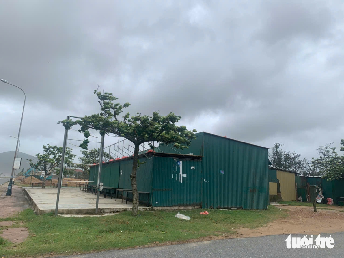 Sóng biển dữ dội trước khi bão Bualoi đổ bộ, một số người vẫn đi ngắm biển - Ảnh 6.