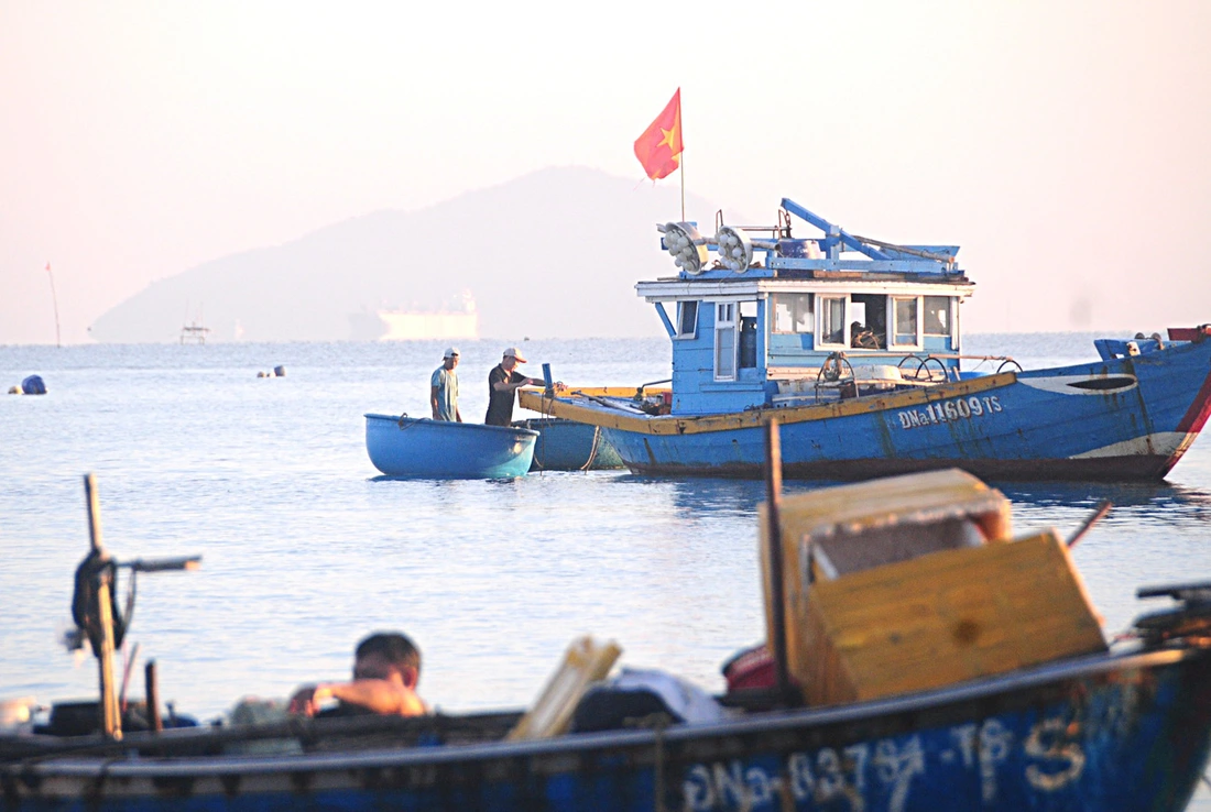 Chợ cá lúc bình minh ven biển Đà Nẵng - Ảnh 7.