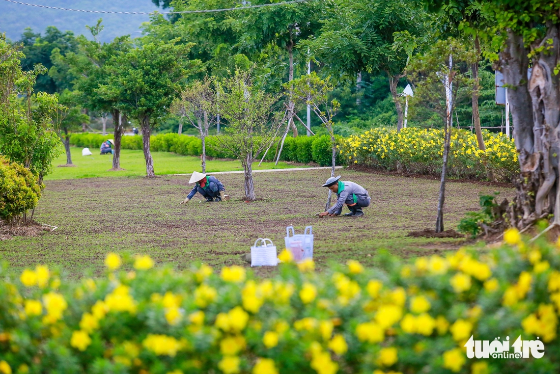 Ngắm Côn Đảo đang làm lưới điện thông minh, hạ tầng xanh sẵn sàng khởi sắc - Ảnh 10.