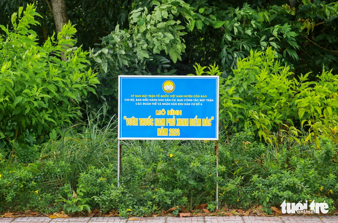 Ngắm Côn Đảo đang làm lưới điện thông minh, hạ tầng xanh sẵn sàng khởi sắc - Ảnh 15.