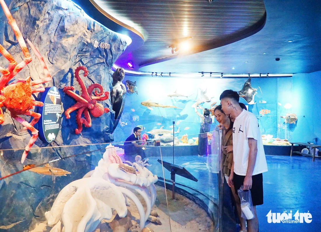 Khám phá không gian sinh vật đại dương dưới độ sâu đến 6.000m ở Nha Trang - Ảnh 1. Đại dương - Ảnh 1.