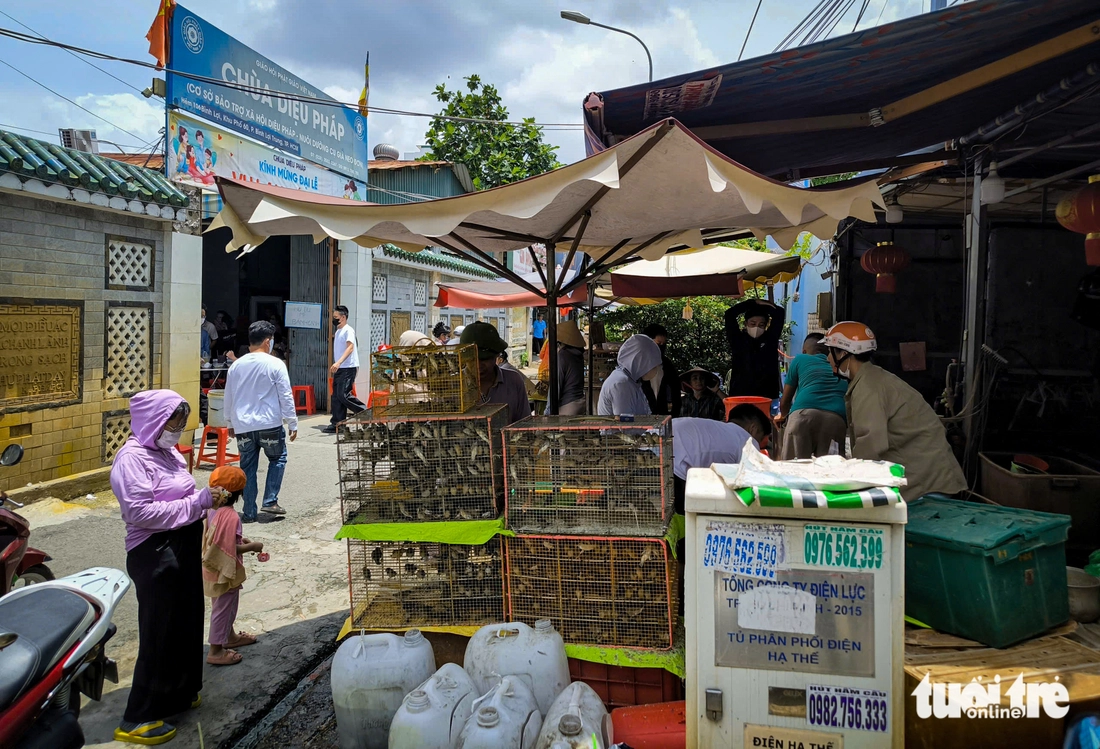 Vu Lan - Ảnh 6.