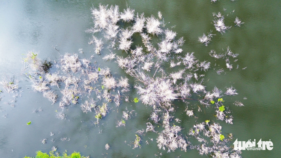 Hồ nước - Ảnh 2.