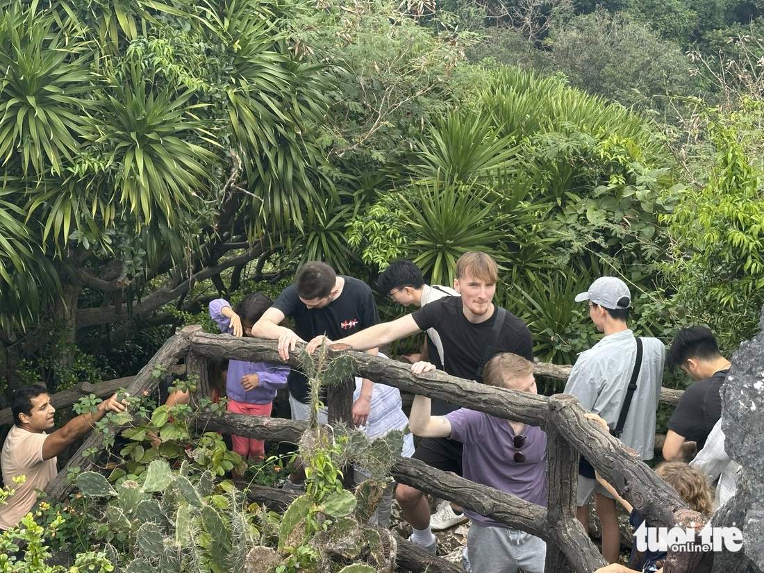 hang động - Ảnh 10.