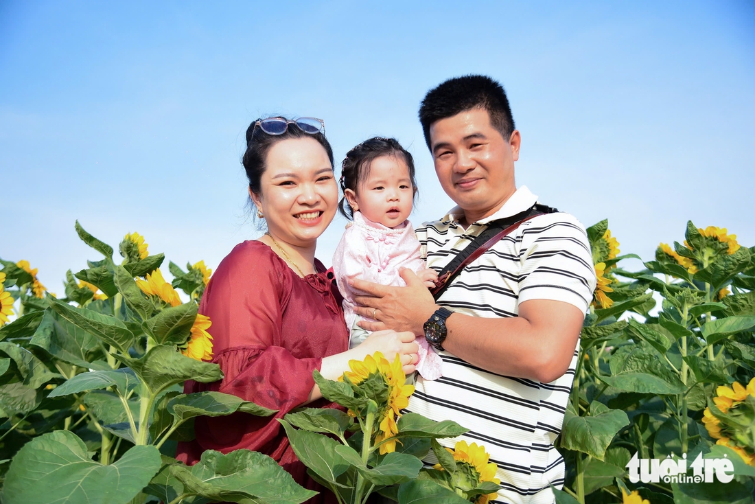 Thêm vườn hoa, vườn kiểng rực rỡ cho người dân TP.HCM check-in dịp Tết - Ảnh 8.