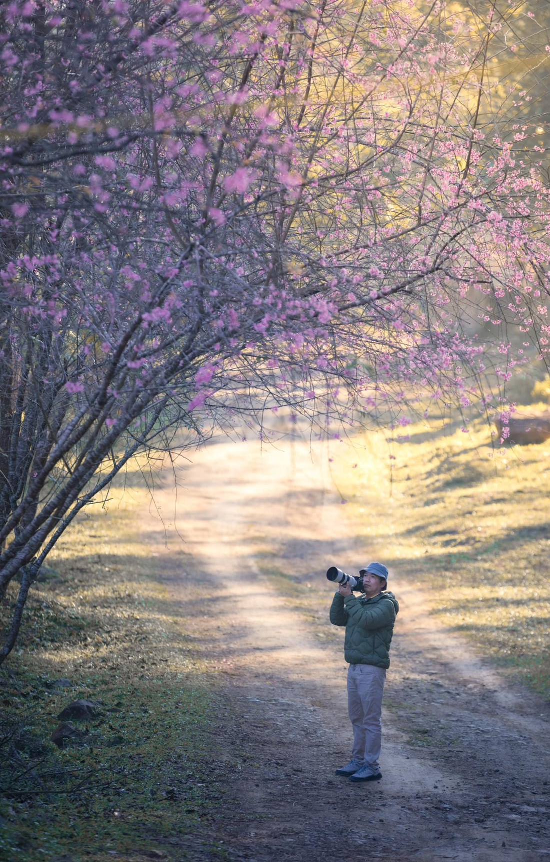 Măng Đen - Ảnh 6.