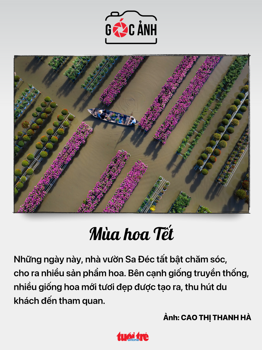 cổ phiếu - Ảnh 7.