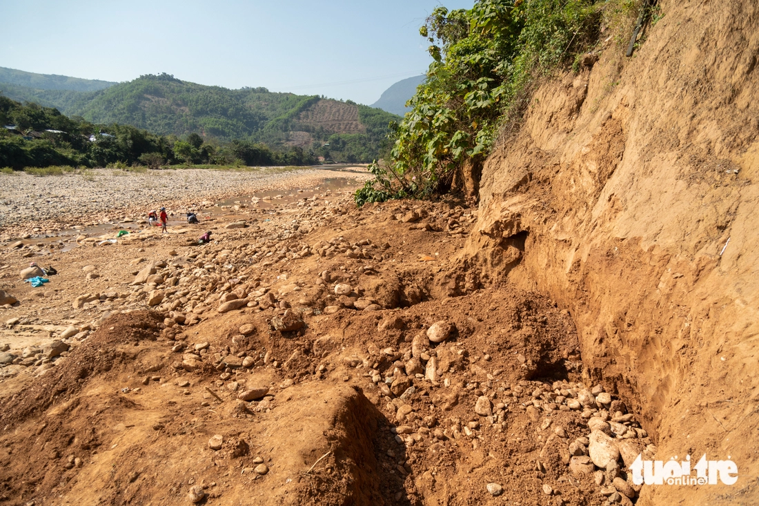 vàng tặc - Ảnh 5.