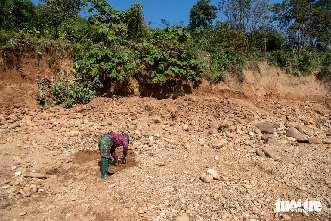 vàng tặc - Ảnh 6.