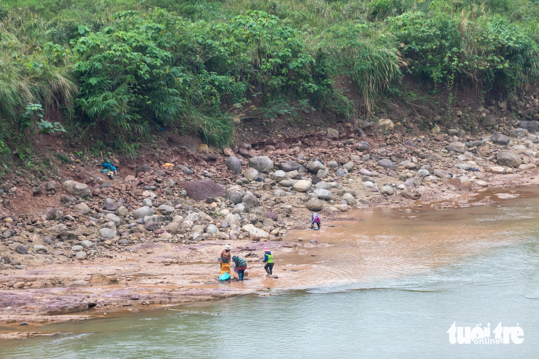 vàng tặc - Ảnh 8.