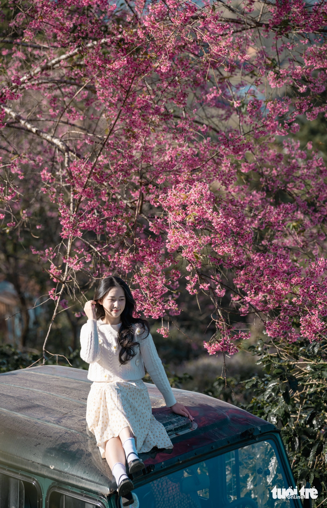 đà lạt - Ảnh 6.