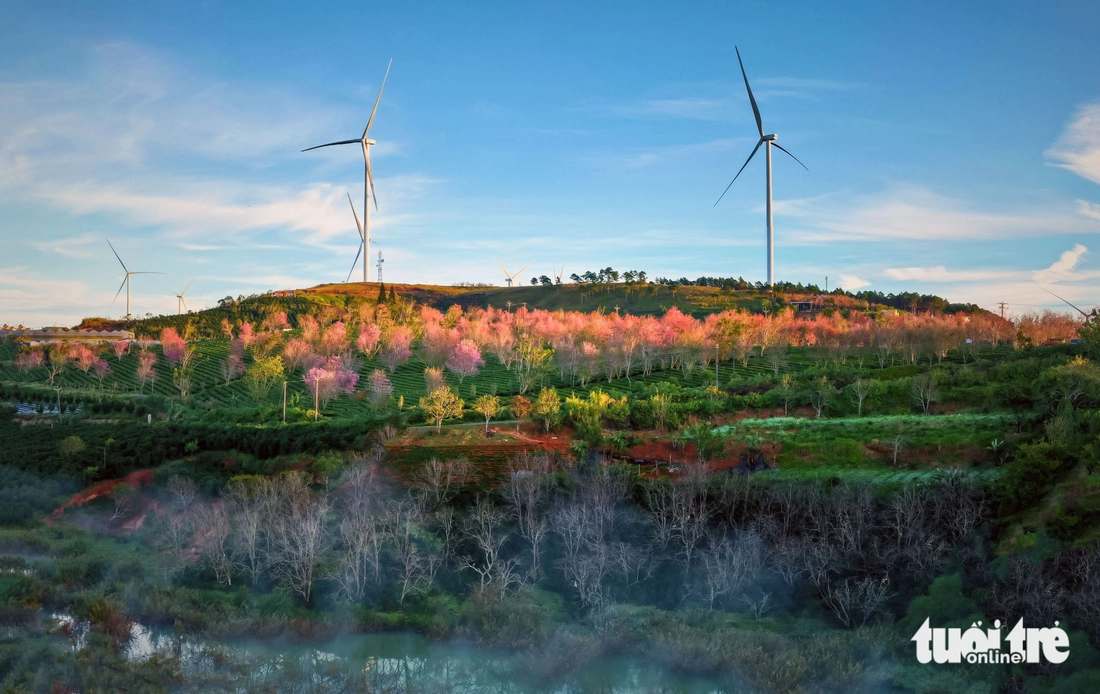 đà lạt - Ảnh 7.