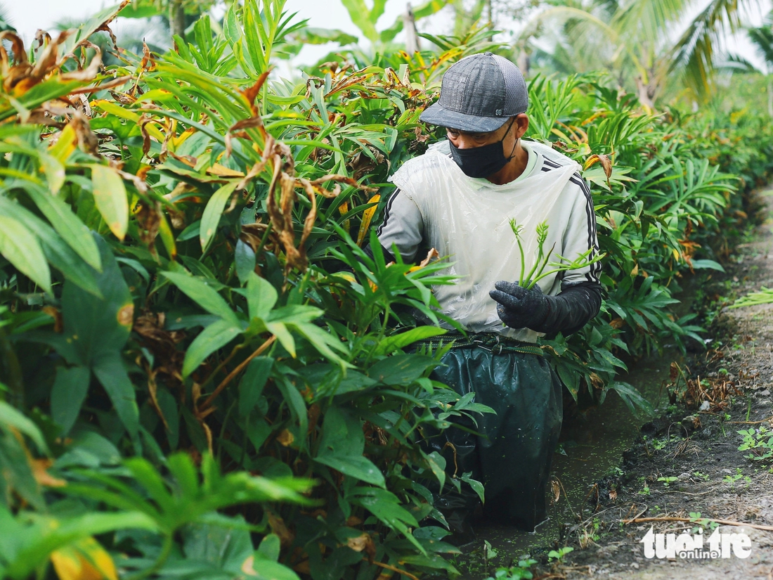 du lịch cộng đồng - Ảnh 3.