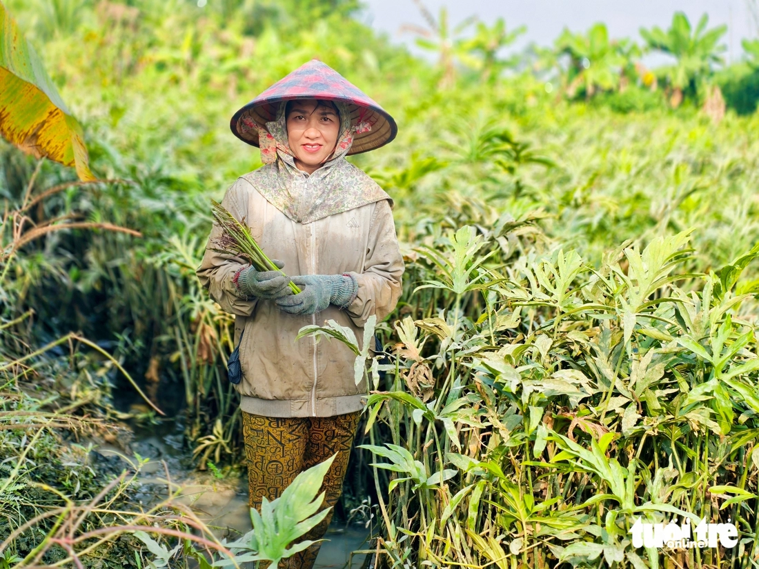 du lịch cộng đồng - Ảnh 5.