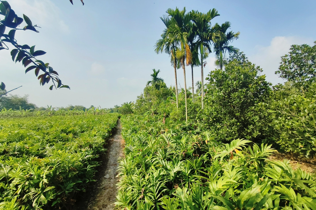 du lịch cộng đồng - Ảnh 4.